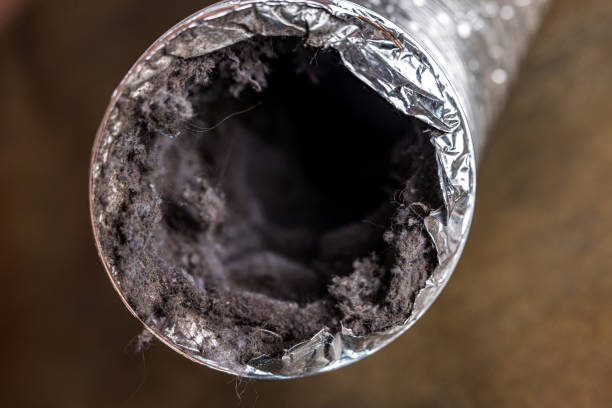 Best Ductwork Cleaning Services  in Garden City Park, NY